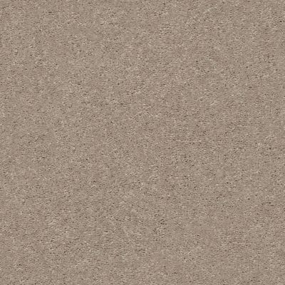 Shaw Floors Simply The Best Attainable Pebble Path 101S_E9965
