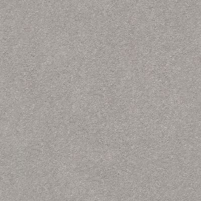 Shaw Floors Simply The Best Montage II Classic Silver 500S_5E082