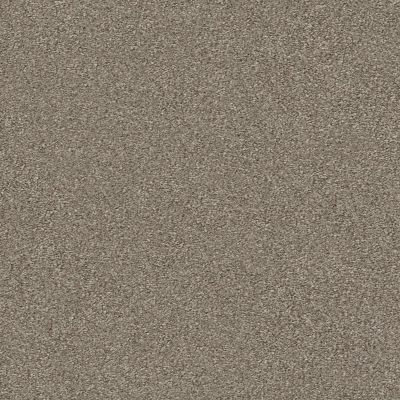 Shaw Floors Simply The Best Montage II Midtown Brown 720T_5E082