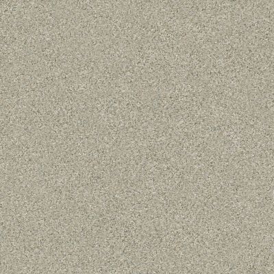Shaw Floors Simply The Best Montage I Spun Wool 130A_5E081