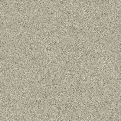 Shaw Floors Simply The Best MONTAGE II Spun Wool 130A_5E082