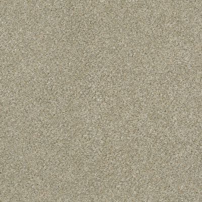 Shaw Floors Simply The Best Montage II Lunar Surface 140A_5E082