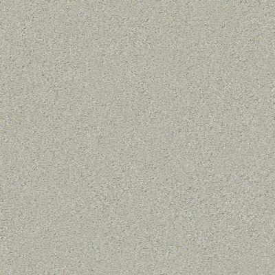 Shaw Floors Simply The Best Montage II River Rock 530A_5E082