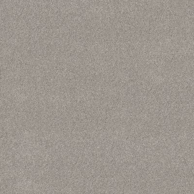 Shaw Floors Simply The Best BOUNDLESS II White Wash 00100_5E486
