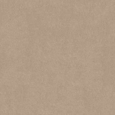 Shaw Floors Simply The Best EASY SPIRIT I 12′ Shaker Beige 00112_5E864