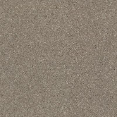 Shaw Floors Value Collections Solidify I 15 Net Natural Contour 00104_5E343