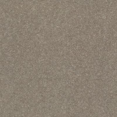 Shaw Floors Simply The Best Solidify III 12′ Natural Contour 00104_5E266