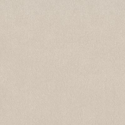 Shaw Floors Simply The Best Easy Spirit III 12′ Soft Light 00110_5E866