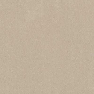 Shaw Floors Simply The Best Easy Spirit III 12′ Cream 00111_5E866