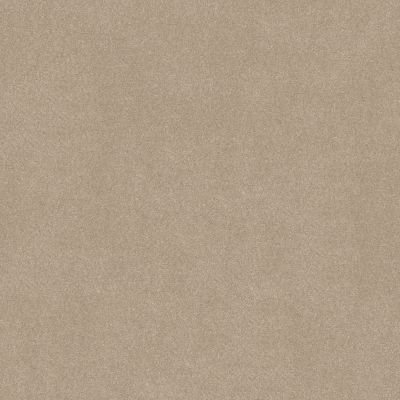 Shaw Floors Simply The Best Easy Spirit III 12′ Shaker Beige 00112_5E866
