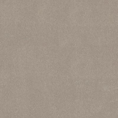 Shaw Floors Simply The Best Easy Spirit III 12′ Biscotti 00113_5E866