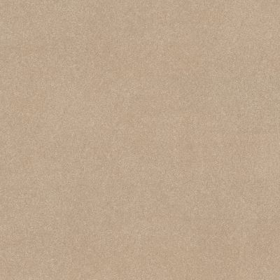 Shaw Floors Simply The Best Easy Spirit III 12′ Captiva 00114_5E866
