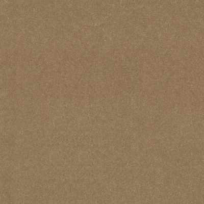 Shaw Floors Simply The Best Easy Spirit III 12′ Stone House 00115_5E866