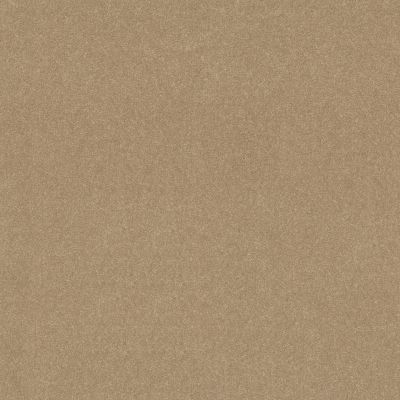 Shaw Floors Simply The Best Easy Spirit III 12′ Tuscan Sun 00210_5E866