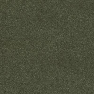 Shaw Floors Simply The Best Easy Spirit III 12′ Garden View 00310_5E866