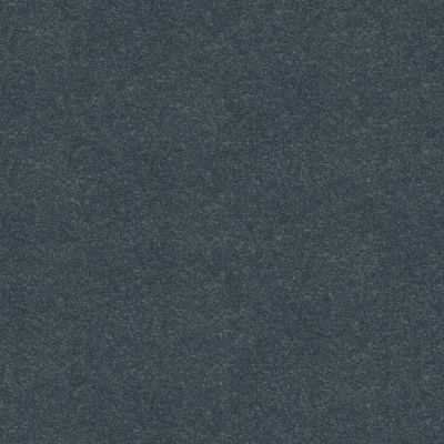 Shaw Floors Simply The Best Easy Spirit III 12′ Indigo 00410_5E866