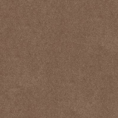 Shaw Floors Simply The Best Easy Spirit III 12′ Bungalow 00711_5E866