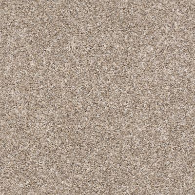 Shaw Floors Value Collections Xz143 Net Neutral Ground 00101_XZ143
