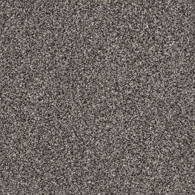 Shaw Floors Value Collections Xz143 Net Anchor 00501_XZ143
