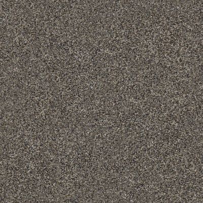 Shaw Floors Value Collections Within Reach I Net Beige Bisque 00110_5E335