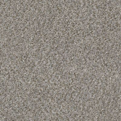 Shaw Floors CABANA BAY (B) Granite 00551_E9956