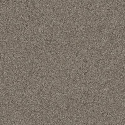 Shaw Floors Simply The Best CABANA LIFE (B) Granite 00551_E9959