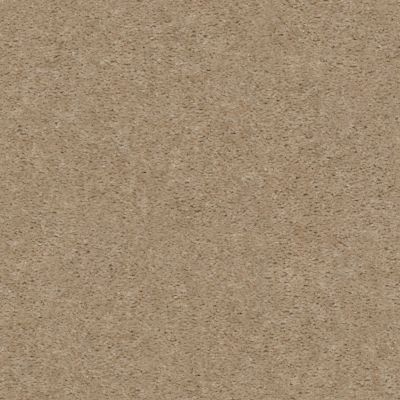 Shaw Floors This Is It Plus Rustic Taupe 96101_52N08