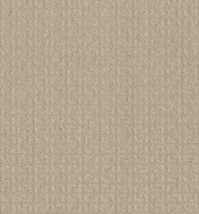 Shaw Floors Simply The Best Transform Biscuit 00107_5E327