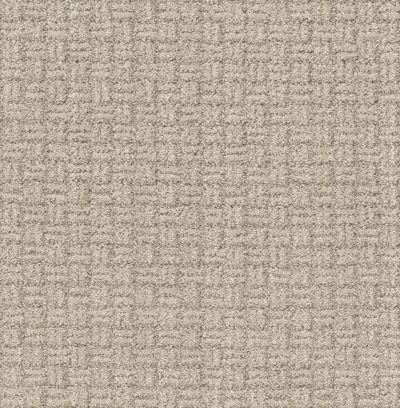 Shaw Floors Pet Perfect Plus Soothing Surround Butter Cream 00107_5E275
