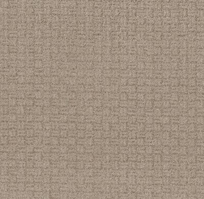Shaw Floors Pet Perfect Plus Soothing Surround Beige Bisque 00110_5E275