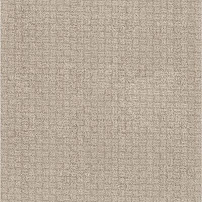Shaw Floors Pet Perfect Plus Soothing Surround Desert View 00701_5E275