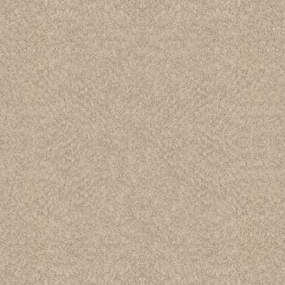 Shaw Floors Home Foundations Gold Appealing Charm Sun Kissed 00110_HGR78