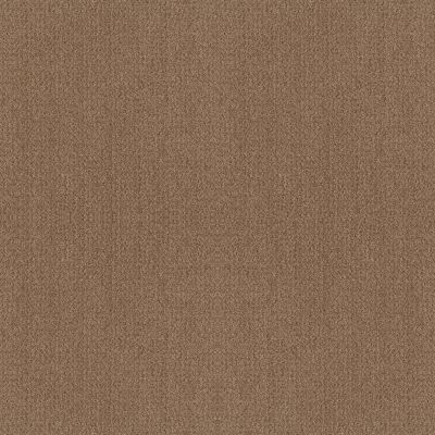 Shaw Floors Foundations Fine Tapestry Raw Wood 00720_5E446