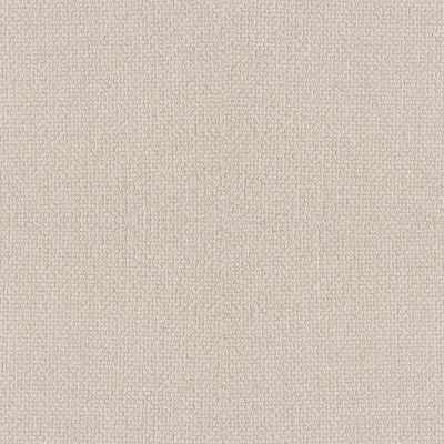 Shaw Floors Simply The Best EMBELLISHED Luxury Cream 00113_5E458