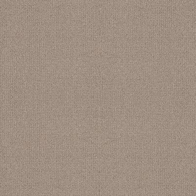 Shaw Floors Simply The Best EMBELLISHED Perfect Taupe 00119_5E458