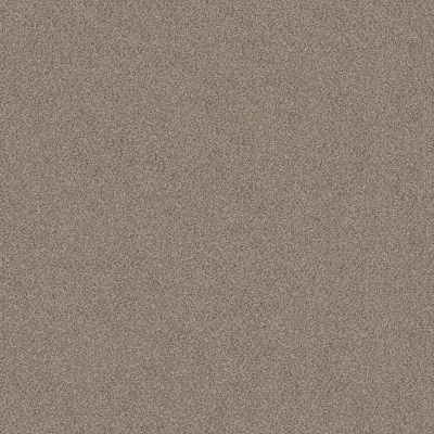 Shaw Floors MUSCLE SHOALS Timeless Tan 00704_SNS65