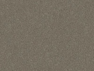 Shaw Floors Simply The Best Without Limits III Saddle Tan 00700_5E484