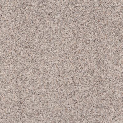 Shaw Floors REPLENISHED Reliable Beige 00105_5E491