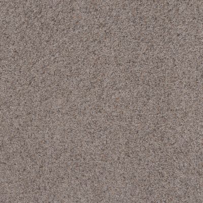 Shaw Floors REPLENISHED Pewter Taupe 00501_5E491