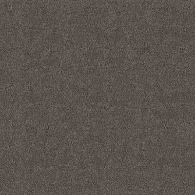 Shaw Floors Simply The Best Boundless II Shadow 00703_5E486