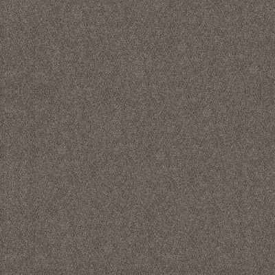 Shaw Floors Simply The Best Boundless Iv Slate Stone 00105_5E488