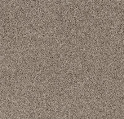 Shaw Floors Value Collections Mix’d Essentials Wt Baltic Stone(t) 00102_5E548