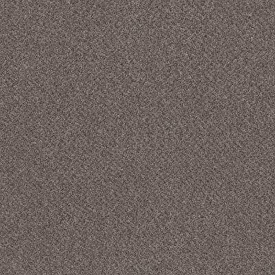 Shaw Floors Basic Mix Anthracite 0721A_5E527