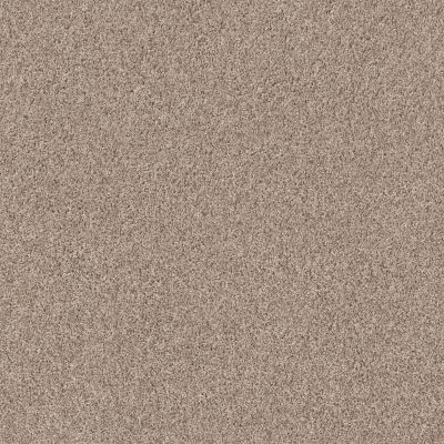 Shaw Builder Flooring DESERT SPRINGS Sandstone 00102_HGR88