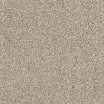 Shaw Builder Flooring DESERT SPRINGS Artists Canvas 00116_HGR88