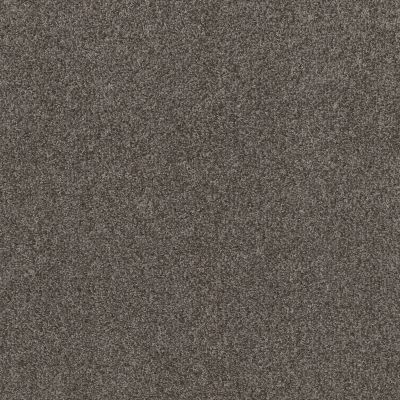 Shaw Builder Flooring DESERT SPRINGS Smoke Embers 00704_HGR88