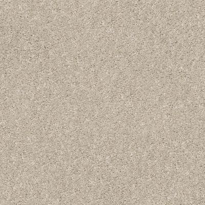 Shaw Builder Flooring CONTEMPORARY VISION Bare Mineral 00105_HGR89