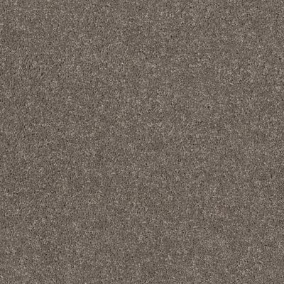 Shaw Builder Flooring CONTEMPORARY VISION Urban Taupe 00703_HGR89
