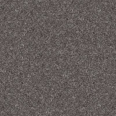 Shaw Floors Pet Perfect YES YOU CAN-ADA1 12′ Shadow 00502_5E635