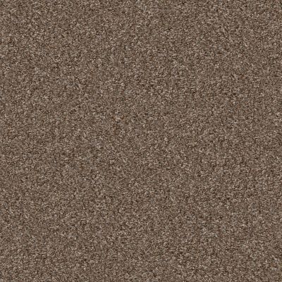 Shaw Floors Pet Perfect Yes You Can I 12′ Worn Path 00700_5E568